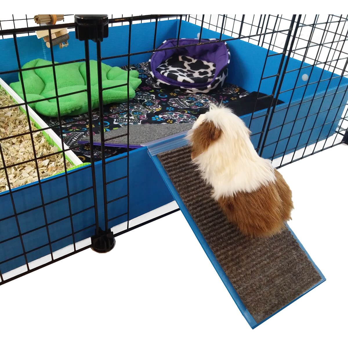 guinea pig cage ramp