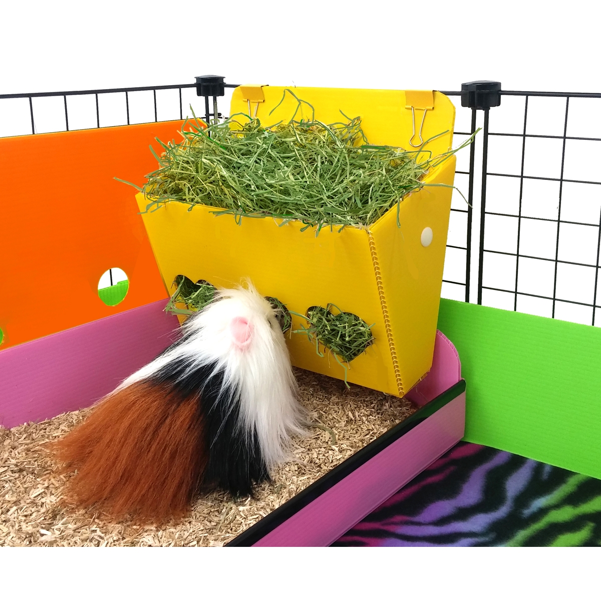 guinea pig hay feeder