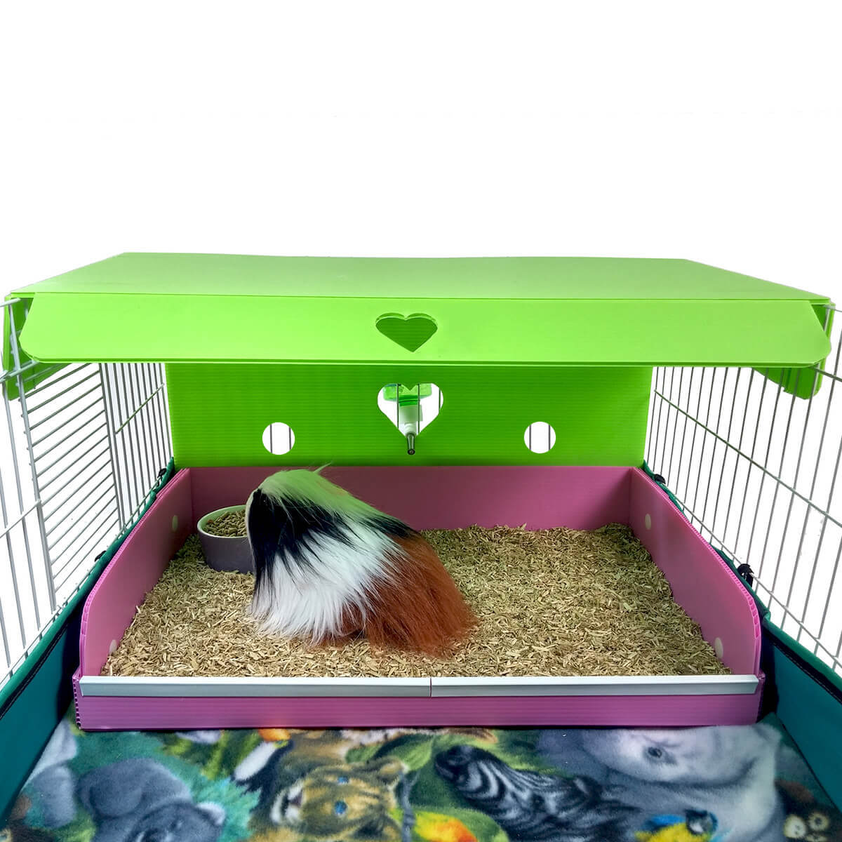 guinea pig cage shelf and ramp